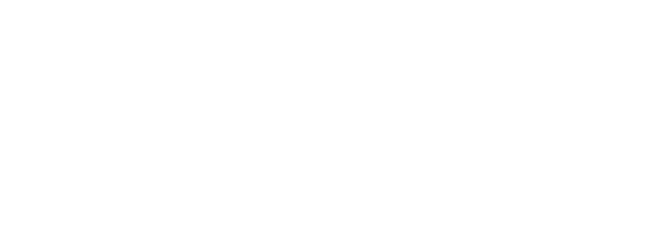 Novalnet e-Solutions